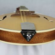 Axiom Beginner Mandolin