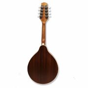 Axiom Beginner Mandolin
