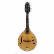 Axiom Beginner Mandolin