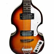 Axiom Cavern Bass – Violin Bass Guitar