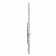 Prelude Curved Head Flute Outfit - Straight & Curved Headjoints