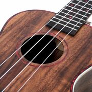 Alani Electric Concert Ukulele with Pickup