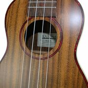 Alani Electric Concert Ukulele with Pickup