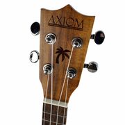 Alani Electric Concert Ukulele with Pickup