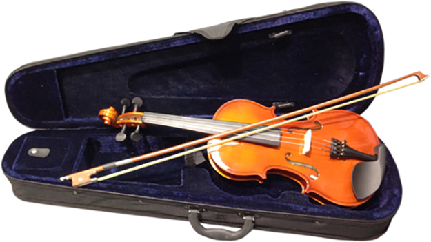 Axiom Violin