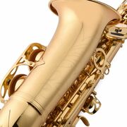 Prelude Tenor Saxophone Outfit - School Band Saxophone