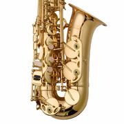 Prelude Alto Saxophone Outfit - Ideal for Adults and Children