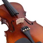 Prelude Violin Outfit - 1/2 (Half Size)